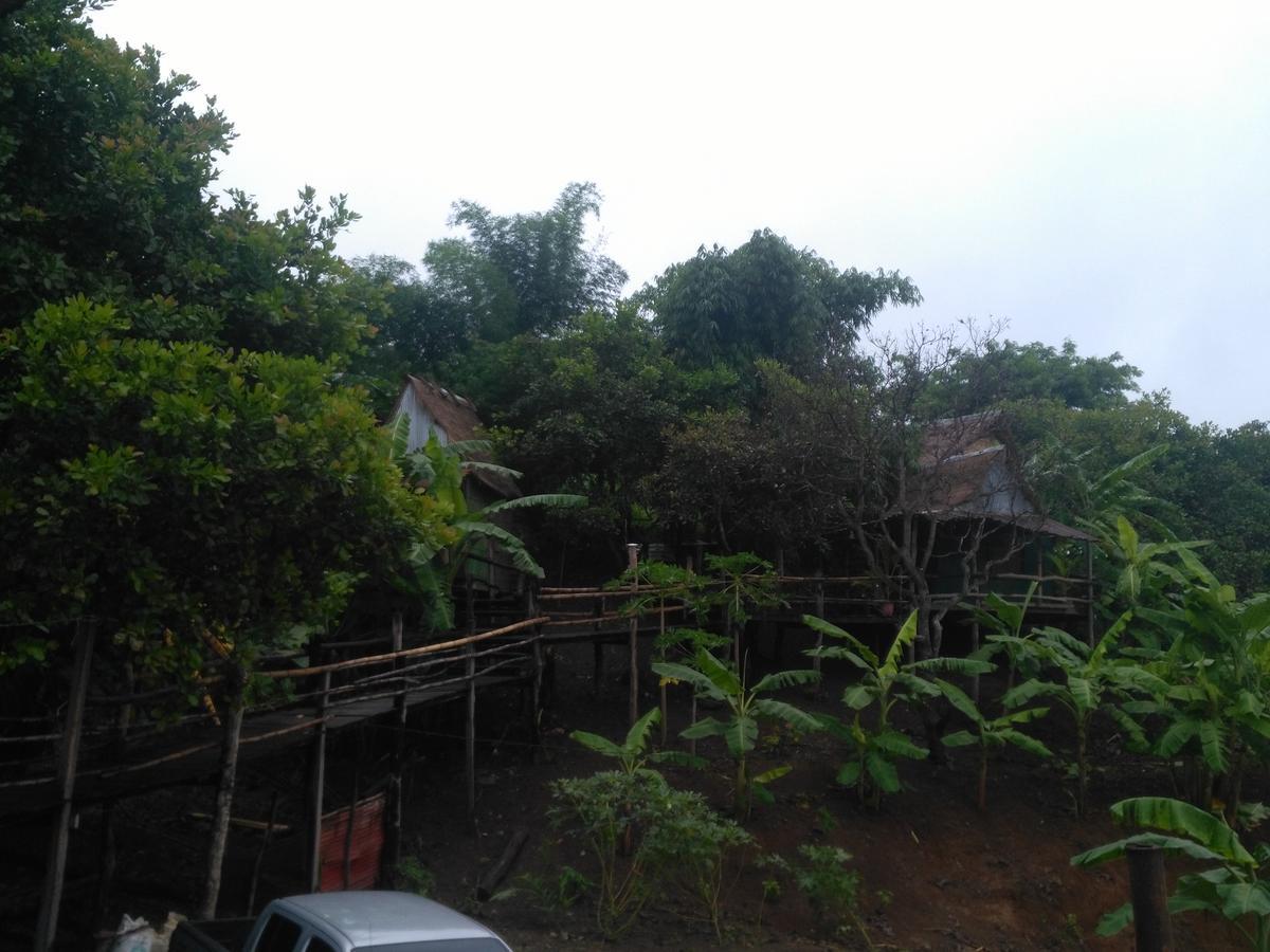 Tree Lodge Banlung מראה חיצוני תמונה