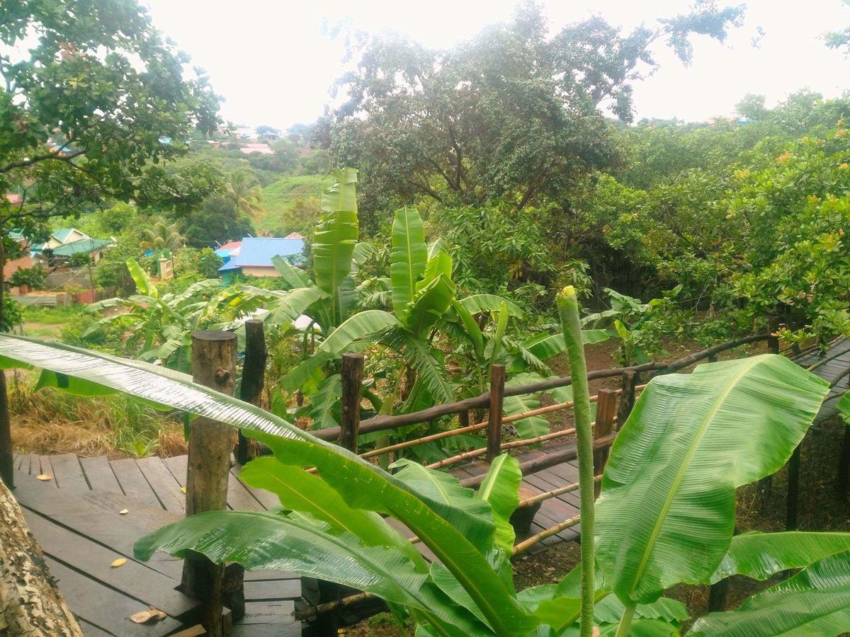 Tree Lodge Banlung מראה חיצוני תמונה