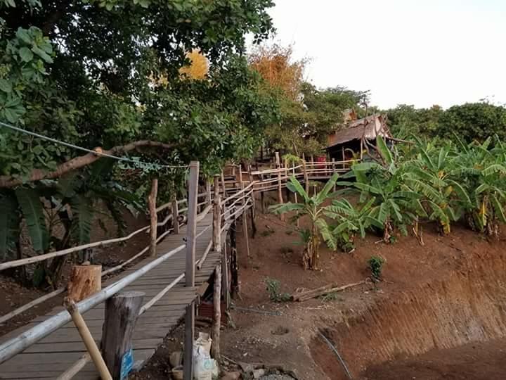 Tree Lodge Banlung מראה חיצוני תמונה