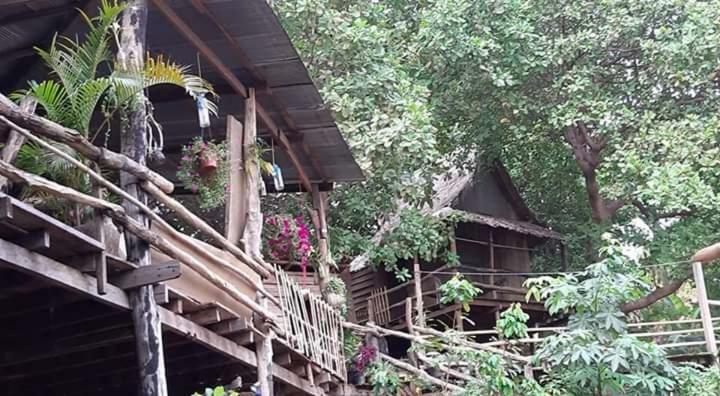 Tree Lodge Banlung מראה חיצוני תמונה